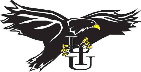 LIU-Brooklyn Blackbirds 1996-2007 Primary Logo t shirts DIY iron ons